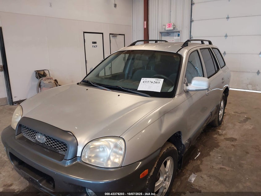2003 Hyundai Santa Fe Gls/Lx VIN: KM8SC13E33U544028 Lot: 43376203