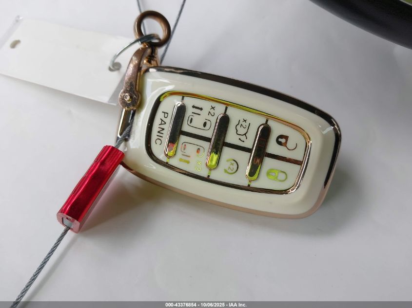 2019 Chrysler Pacifica Limited VIN: 2C4RC1GG6KR590012 Lot: 43376854