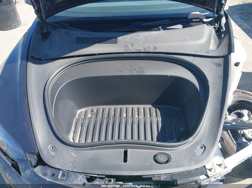 2025 Tesla Model 3 Long Range Rear-Wheel Drive VIN: 5YJ3E1EA3SF993522 Lot: 43377021