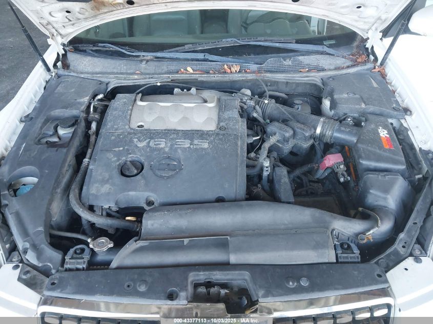 2005 Nissan Maxima 3.5 Se VIN: 1N4BA41E35C851020 Lot: 43377113