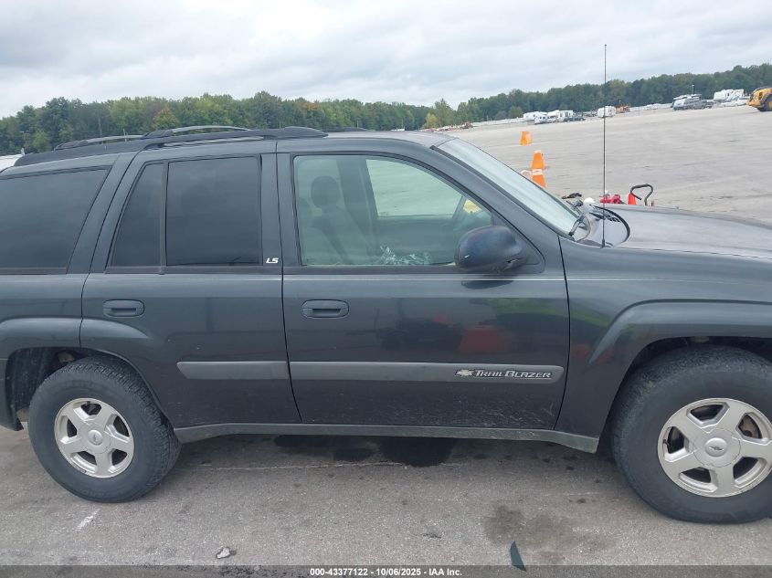 2003 Chevrolet Trailblazer Ls VIN: 1GNDT13S532358254 Lot: 43377122