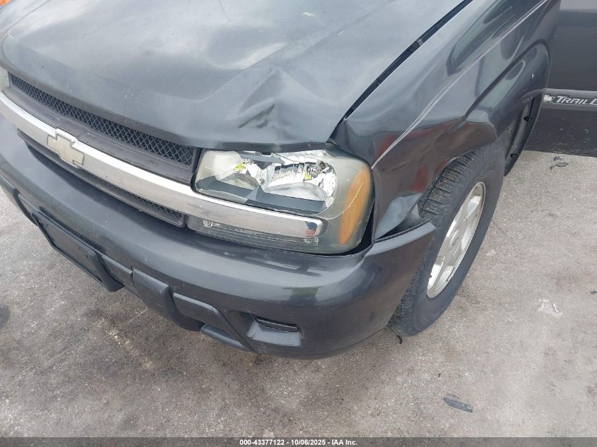 2003 Chevrolet Trailblazer Ls VIN: 1GNDT13S532358254 Lot: 43377122