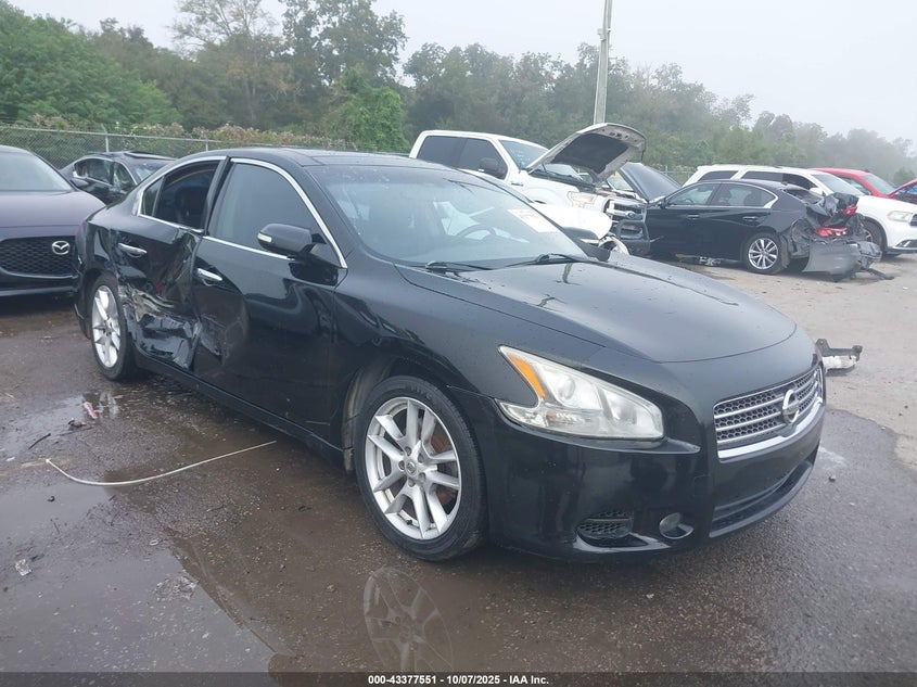NISSAN MAXIMA 3.5 SV