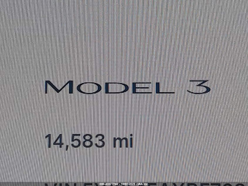 2024 Tesla Model 3 Long Range Dual Motor All-Wheel Drive/Rear-Wheel Drive VIN: 5YJ3E1EAXRF768900 Lot: 43377742