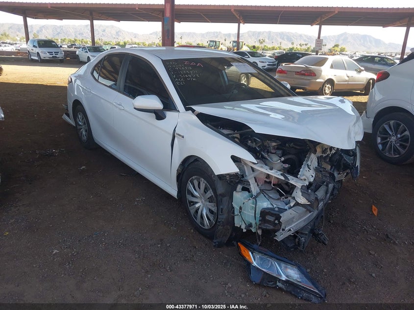 2019 TOYOTA CAMRY HYBRID LE - 4T1B31HK9KU516473