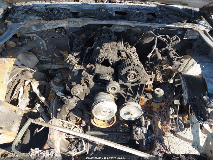 2004 Cadillac Escalade Standard VIN: 1GYEC63T84R221654 Lot: 43378412