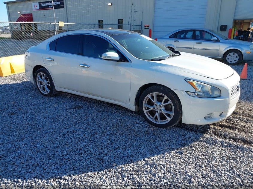 NISSAN MAXIMA 3.5 SV