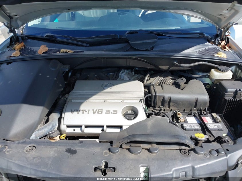 2004 Lexus Rx 330 VIN: JTJGA31U840029117 Lot: 43379211