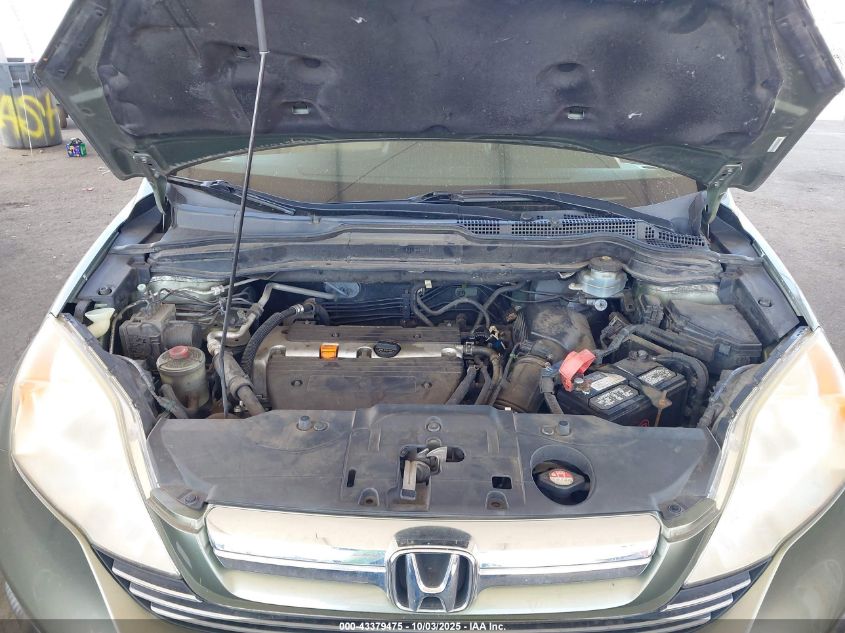 2007 Honda Cr-V Ex-L VIN: JHLRE38767C023533 Lot: 43379475