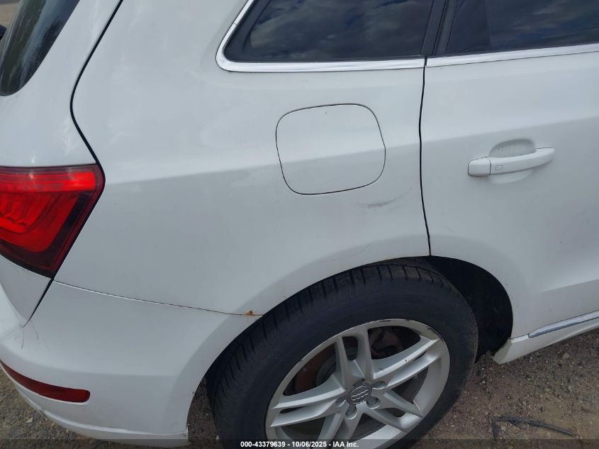 2013 Audi Q5 2.0T Premium VIN: WA1LFAFP9DA062559 Lot: 43379639