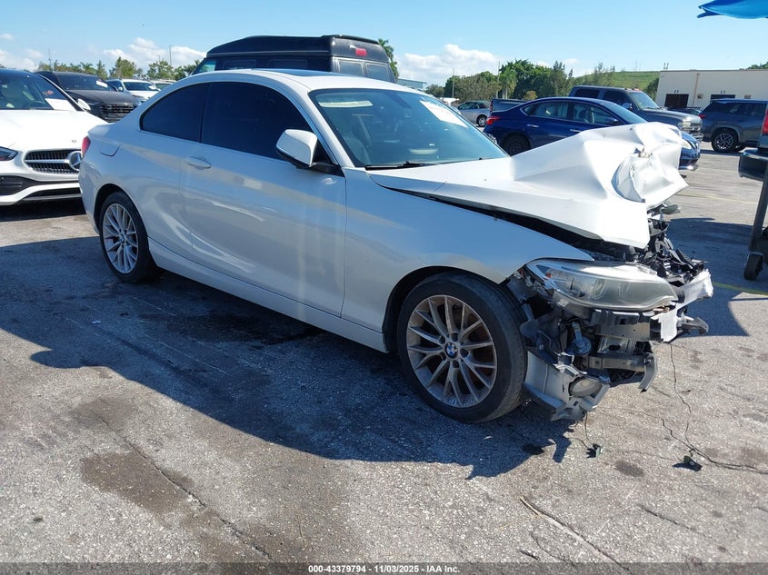 2015 BMW 228I - WBA1F5C54FV257257