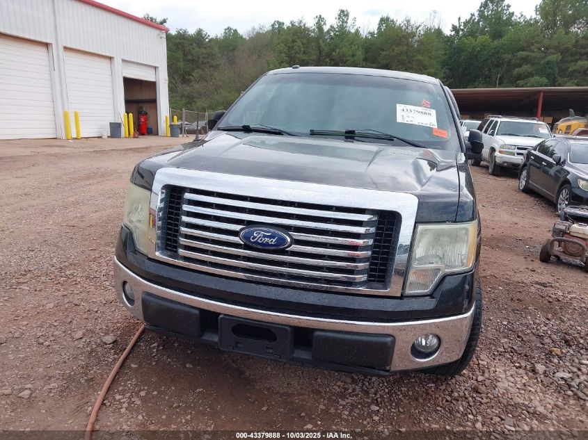 2010 Ford F-150 Fx2 Sport/Harley-Davidson/King Ranch/Lariat/Platinum/Xl/Xlt VIN: 1FTFW1CV6AFD49572 Lot: 43379888