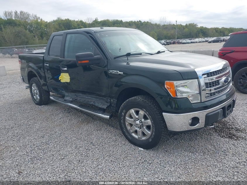 FORD F-150 XLT