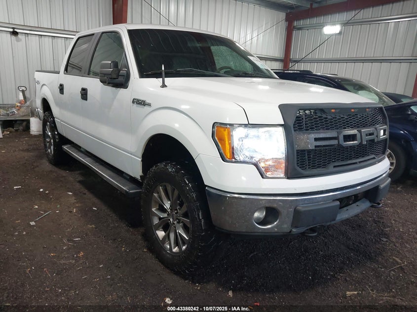 FORD F-150 XLT