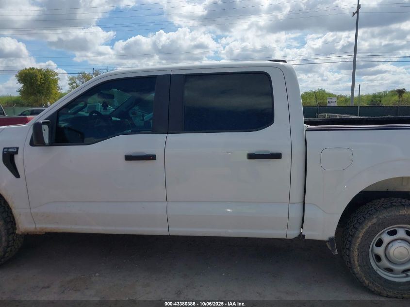 2023 Ford F-150 Xl VIN: 1FTEW1EP3PKG14636 Lot: 43380386