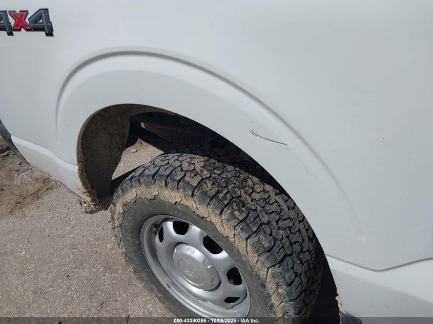 2023 Ford F-150 Xl VIN: 1FTEW1EP3PKG14636 Lot: 43380386