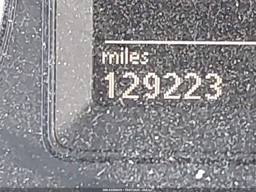 2010 Volkswagen Tiguan Sel VIN: WVGAV7AXXAW509310 Lot: 43380419