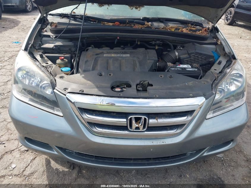 2007 Honda Odyssey Ex-L VIN: 5FNRL38777B002583 Lot: 43380463