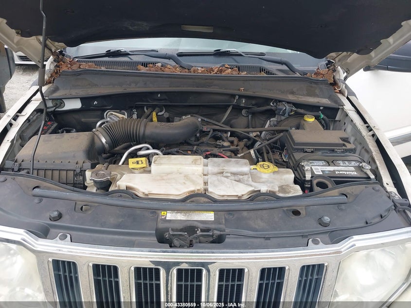 2010 Jeep Liberty Limited VIN: 1J4PP5GK5AW117676 Lot: 43380559