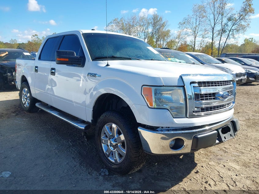 FORD F-150 XLT