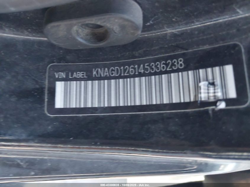 2004 Kia Optima Ex/Lx VIN: KNAGD126145336238 Lot: 43380835