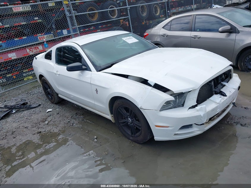 FORD MUSTANG V6