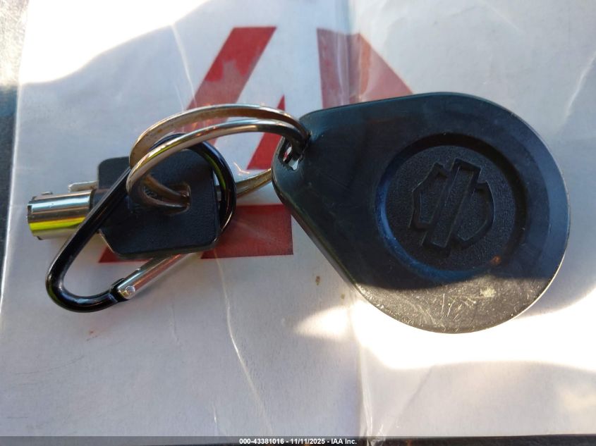 2020 Harley-Davidson Fltrk VIN: 1HD1KZF1XLB641411 Lot: 43381016