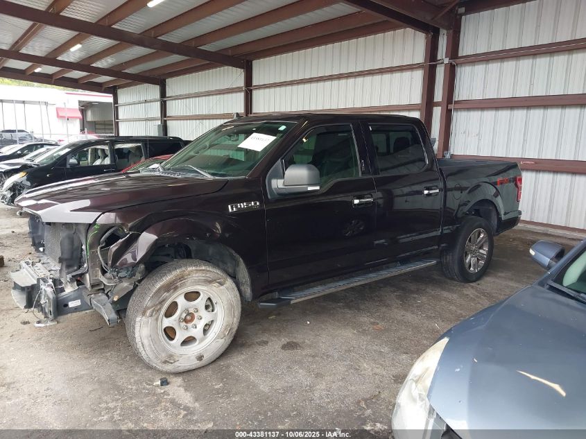 2019 Ford F-150 Xlt VIN: 1FTEW1E4XKFA53794 Lot: 43381137