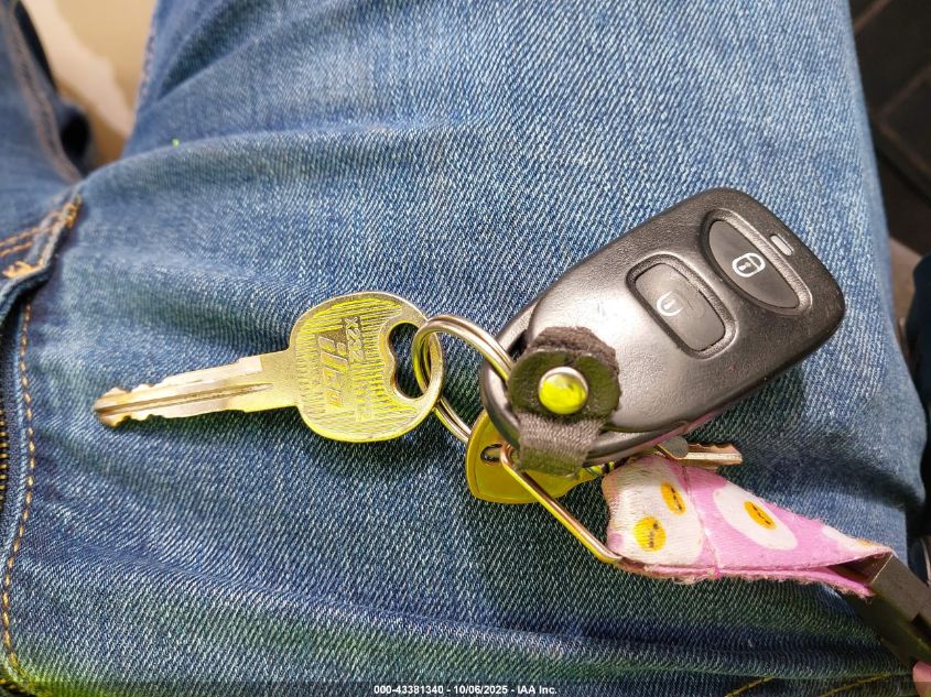 2009 Hyundai Santa Fe Gls VIN: 5NMSG13D69H242720 Lot: 43381340