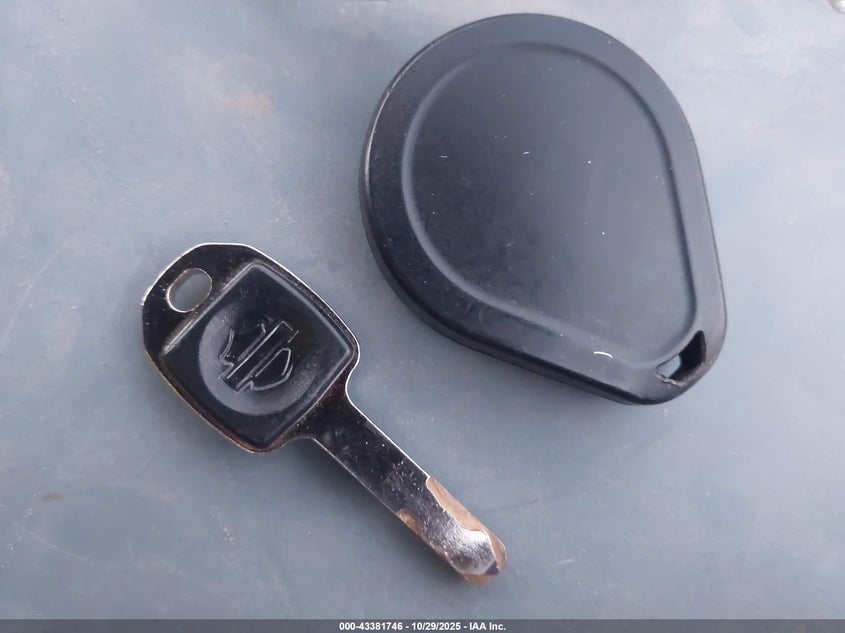 2021 Harley-Davidson Flsl VIN: 1HD1YDJ17MB019326 Lot: 43381746