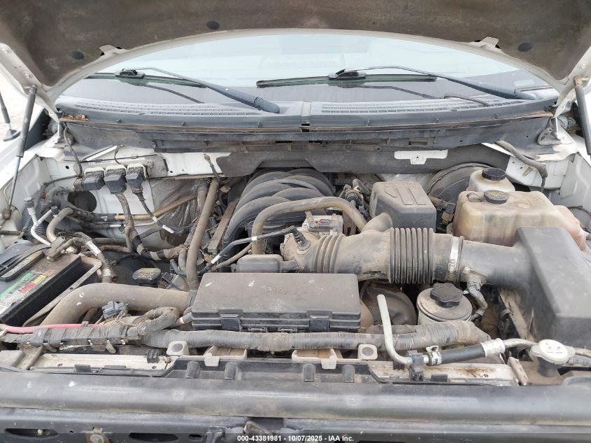 2010 Ford F-150 Fx2 Sport/Xl/Xlt VIN: 1FTEW1C83AFC91068 Lot: 43381981