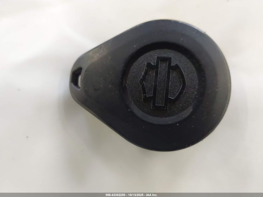 2022 Harley-Davidson Flfbs VIN: 1HD1YGK17NB026049 Lot: 43382250