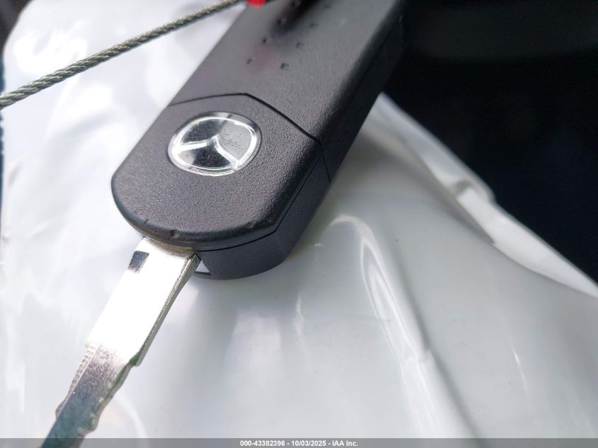 2010 Mazda Mazda3 I Touring VIN: JM1BL1SG4A1294059 Lot: 43382396