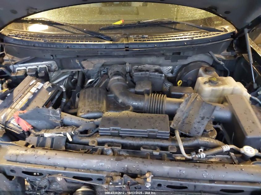 2009 Ford F-150 Fx4/King Ranch/Lariat/Platinum/Xl/Xlt VIN: 1FTPW14V09FB31660 Lot: 43382612