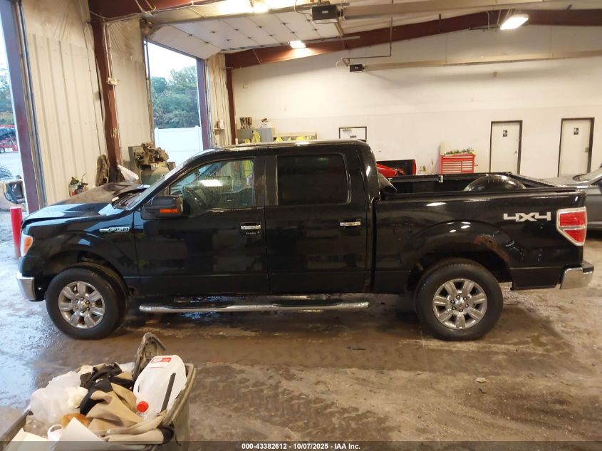 2009 Ford F-150 Fx4/King Ranch/Lariat/Platinum/Xl/Xlt VIN: 1FTPW14V09FB31660 Lot: 43382612