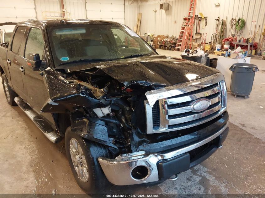 2009 Ford F-150 Fx4/King Ranch/Lariat/Platinum/Xl/Xlt VIN: 1FTPW14V09FB31660 Lot: 43382612