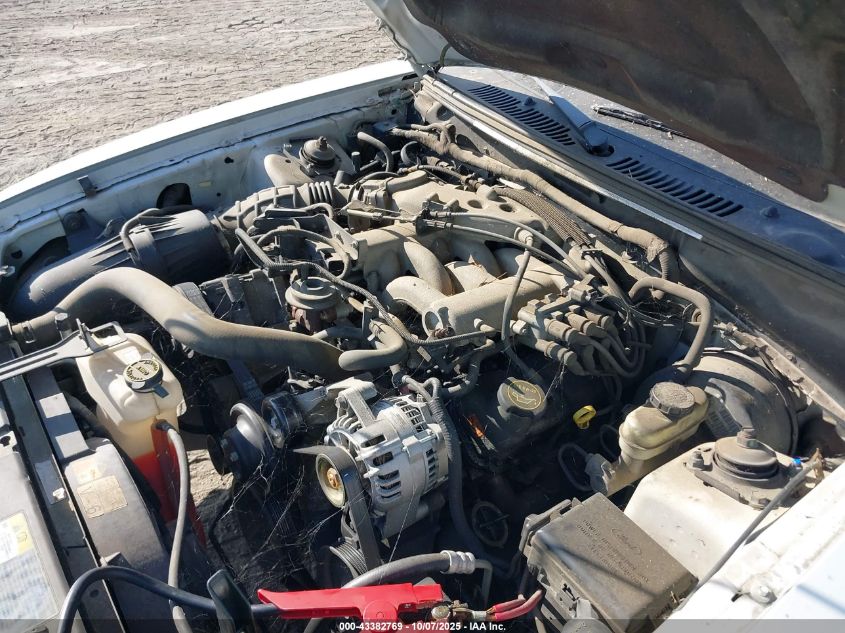 2004 Ford Mustang VIN: 1FAFP44664F154376 Lot: 43382769