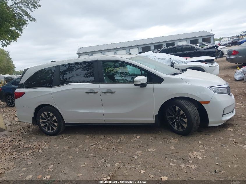 2023 Honda Odyssey Ex-L VIN: 5FNRL6H60PB077814 Lot: 43383524