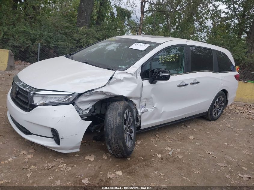 2023 Honda Odyssey Ex-L VIN: 5FNRL6H60PB077814 Lot: 43383524