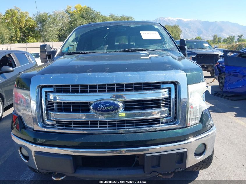 2013 Ford F-150 Xlt VIN: 1FTFW1ET0DFC50763 Lot: 43383556