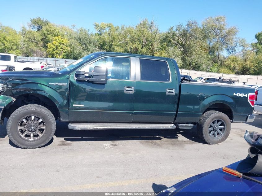 2013 Ford F-150 Xlt VIN: 1FTFW1ET0DFC50763 Lot: 43383556