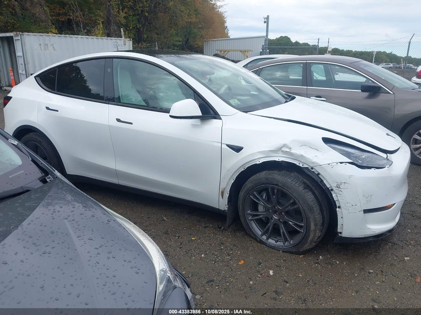 2025 Tesla Model Y Long Range Dual Motor All-Wheel Drive VIN: 7SAYGDEE8SA342844 Lot: 43383986