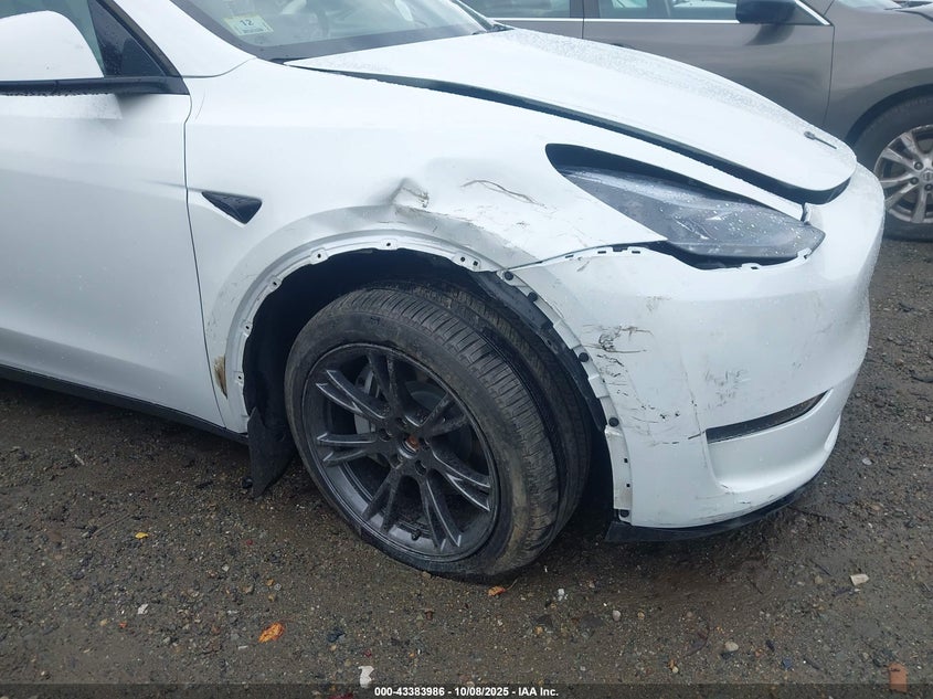 2025 Tesla Model Y Long Range Dual Motor All-Wheel Drive VIN: 7SAYGDEE8SA342844 Lot: 43383986