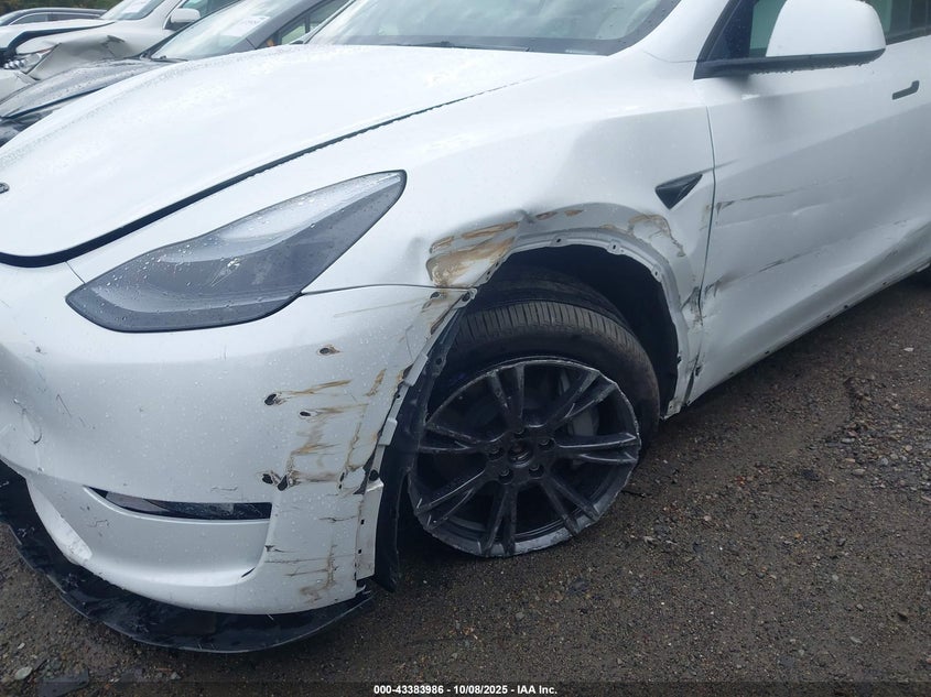 2025 Tesla Model Y Long Range Dual Motor All-Wheel Drive VIN: 7SAYGDEE8SA342844 Lot: 43383986