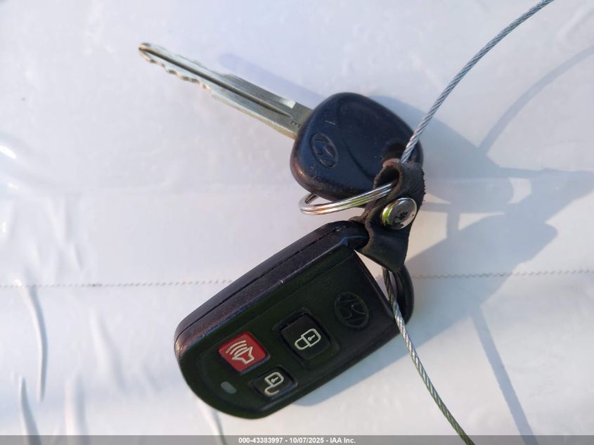 2004 Hyundai Santa Fe Gls/Lx VIN: KM8SC13E44U672070 Lot: 43383997