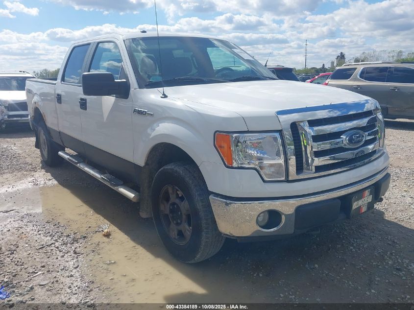 FORD F-150 XLT