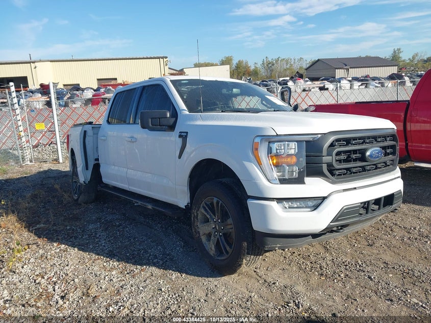 FORD F-150 XLT