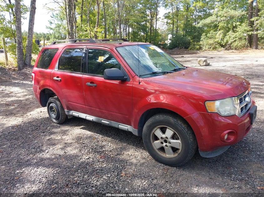 FORD ESCAPE XLT