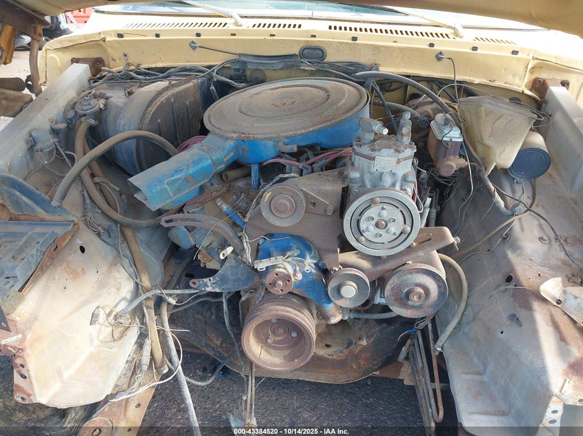 1975 Ford F250 VIN: F25MKU42572 Lot: 43384520