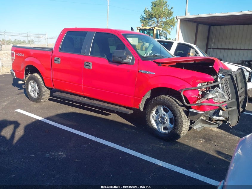 FORD F-150 XL/XLT